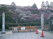 池上梅園