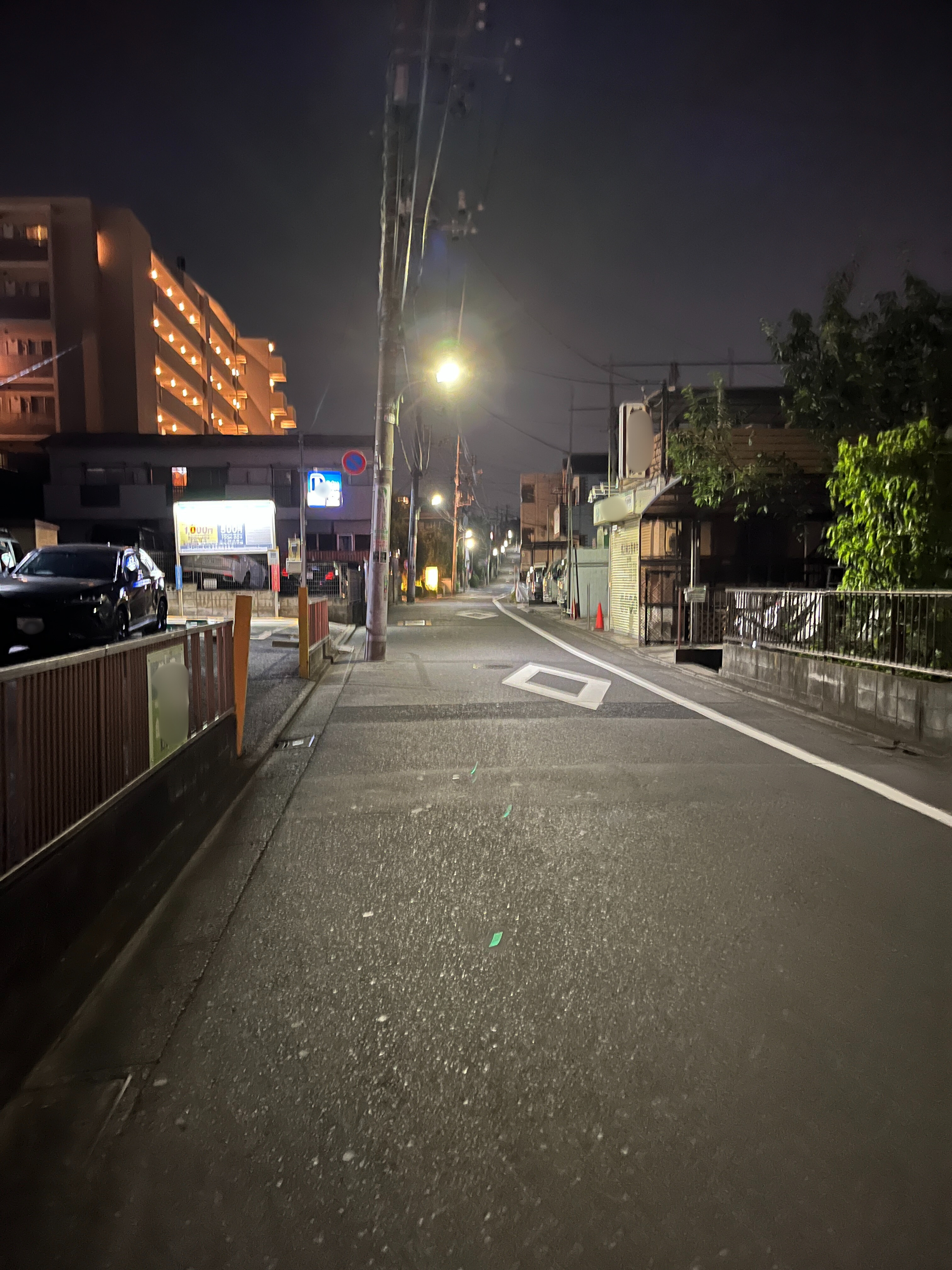 住宅街の道をひたすら真っ直ぐ進みます