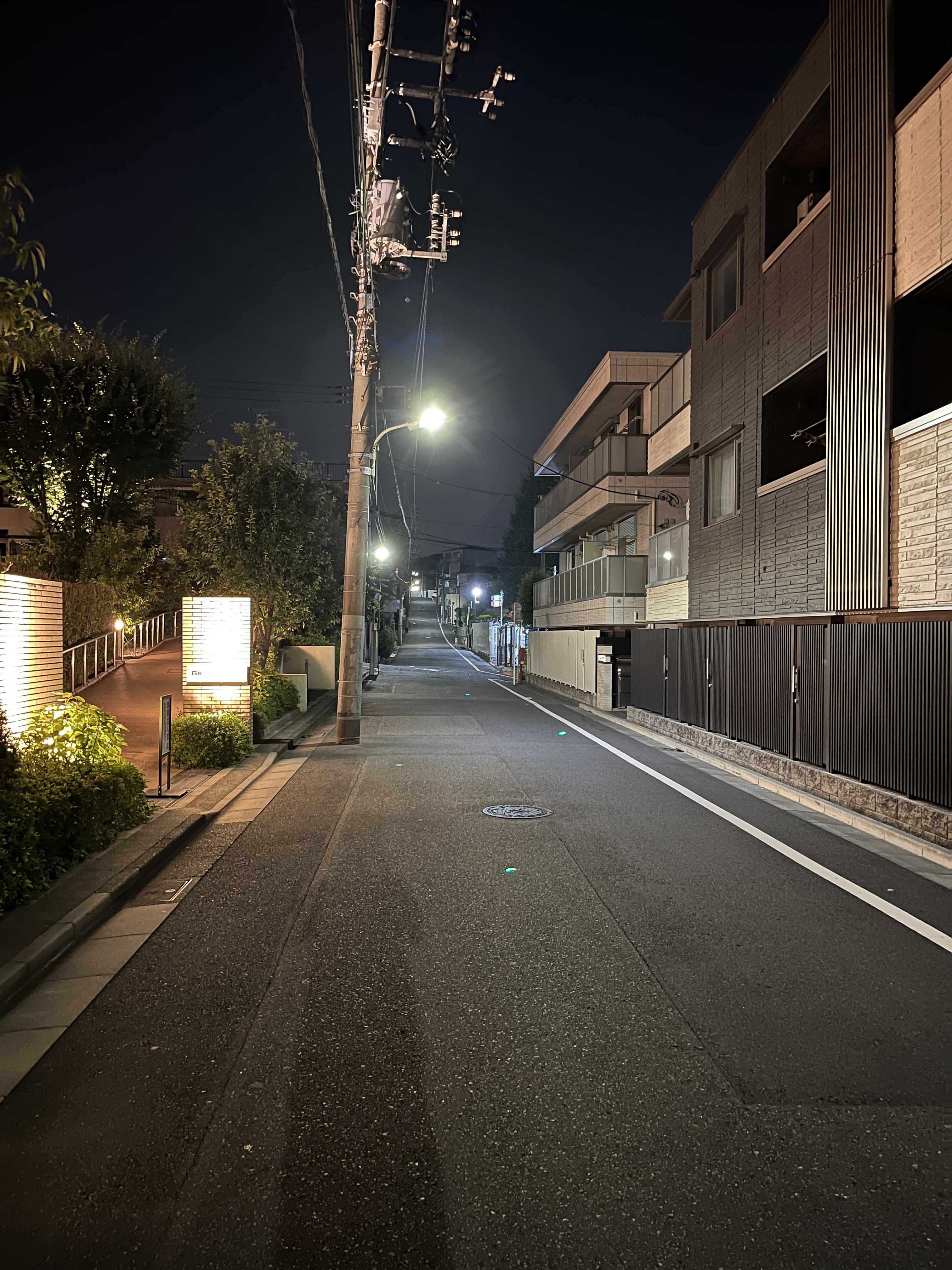 この辺りは比較的築浅の集合住宅が多い
